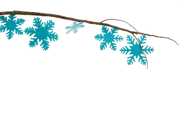 Snöflingor inredda på gren — Stockfoto