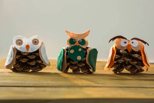 Close up of owls made with pine cones — Stock Photo, Image