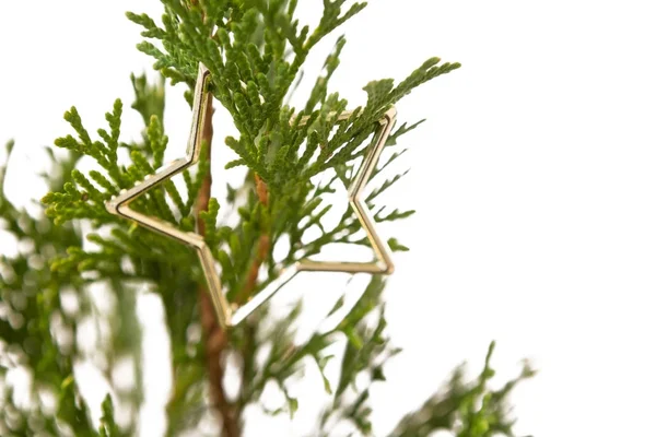 Weihnachtsbaum mit Dekoration — Stockfoto