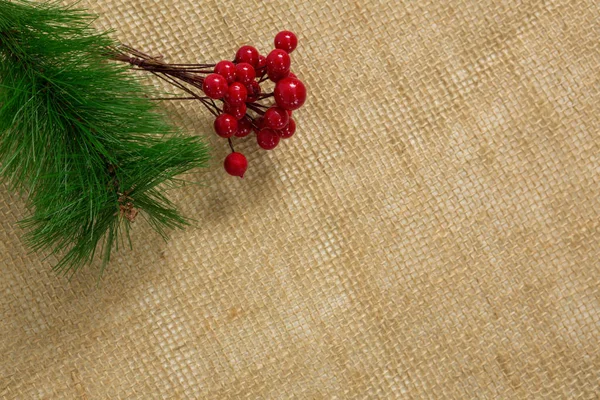 High angle of cheery with pine twig — Stock Photo, Image