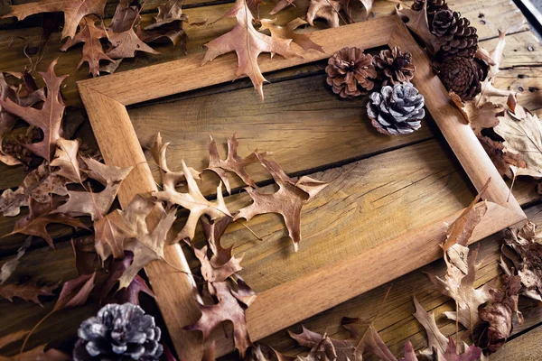 Рамка и сухие листья на деревянной доске — стоковое фото
