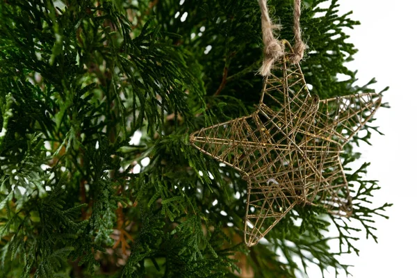 Star shape christmas decoration — Stock Photo, Image