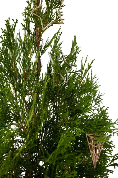 Albero di Natale con decorazione — Foto Stock