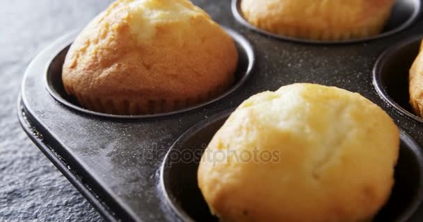 Plain cupcakes on baking tray — Stock Video