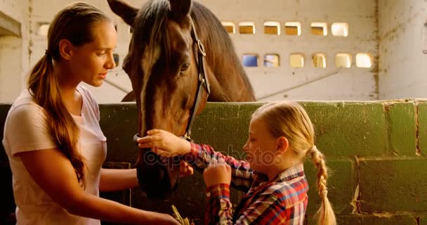 Mãe e filha alimentando um cavalo 4k — Vídeo de Stock