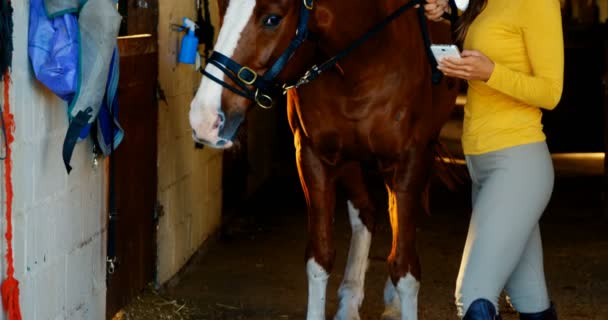 Femme utilisant un téléphone portable tout en tenant le cheval — Video