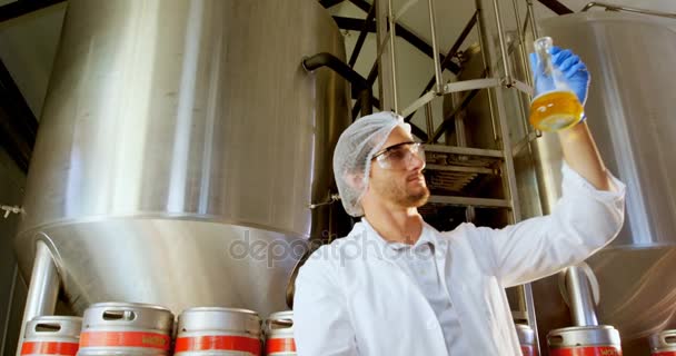 Brewer provnings öl — Stockvideo