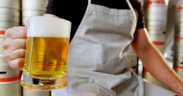 Primer plano de la cerveza de prueba de cerveza — Vídeo de stock