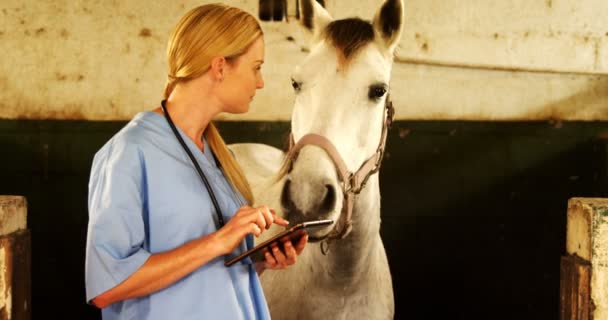 Médico veterinário usando comprimido digital — Vídeo de Stock