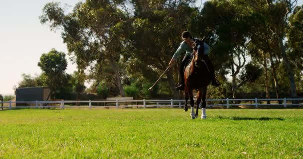 Mannelijke jockey rijdt paard in de ranch — Stockvideo