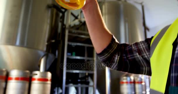 Gros plan du brasseur testant la bière — Video