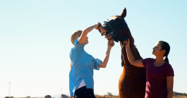 Tierarzt untersucht Pferd auf Ranch — Stockvideo