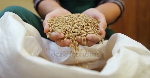 Brewer pouring grains into sack — Stock Video