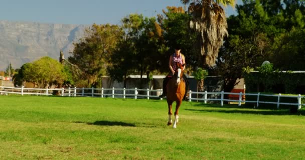 Vrouw paardrijden paard in ranch — Stockvideo