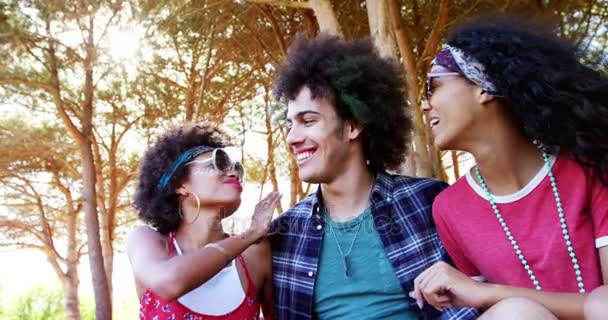 Grupo de amigos se divertindo no festival de música — Vídeo de Stock