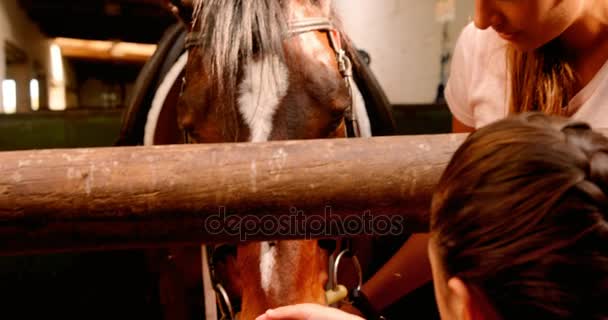 Madre e hija acariciando caballo — Vídeos de Stock