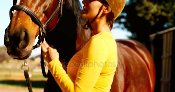 Mujer de pie con el caballo en el rancho — Vídeos de Stock