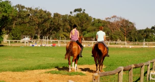 Φίλους τους να ιππεύουν άλογο στο αγρόκτημα — Αρχείο Βίντεο