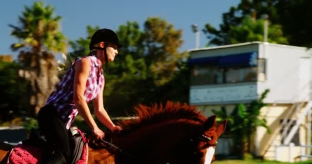 Женщина верхом на лошади на ранчо — стоковое видео