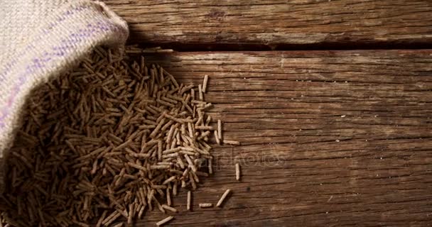 Palitos de salvado de cereales que salen del saco — Vídeo de stock