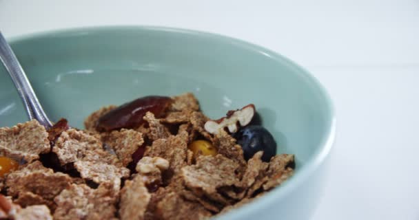 碗小麦片与蓝莓 — 图库视频影像