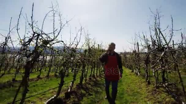 Фермер ходить по винограднику — стокове відео