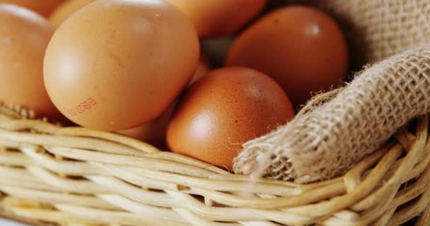 Close-up of brown eggs and wheat — Stock Video