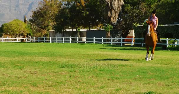 Mujer a caballo en rancho — Vídeo de stock