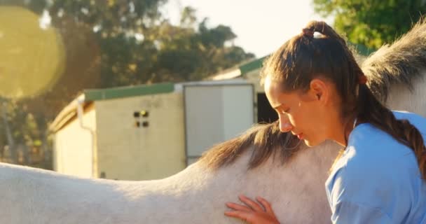 Dokter van de dierenarts een injectie geven het paard — Stockvideo