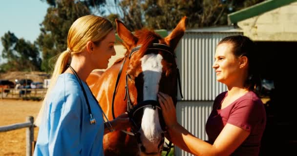 Женщина взаимодействует с ветеринаром на ранчо — стоковое видео