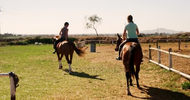 Vrienden rijdt paard in ranch — Stockvideo