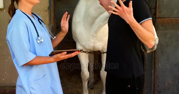 Veterinaria y mujer interactuando mientras usa tableta digital — Vídeos de Stock