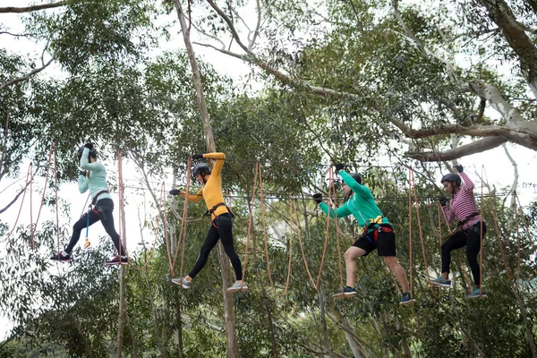 Amigos disfrutando de la aventura tirolina —  Fotos de Stock