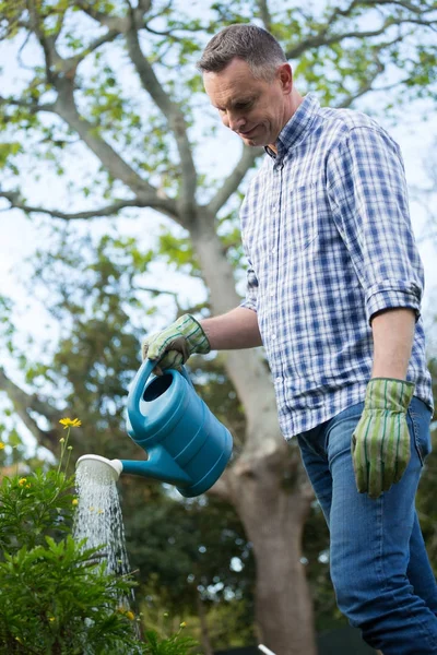 Muž zalévání rostlin s konev — Stock fotografie