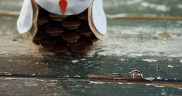 Hibou cône de pin sur table en bois — Video