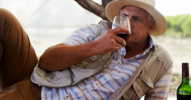 Man having glass of wine — Stock Video