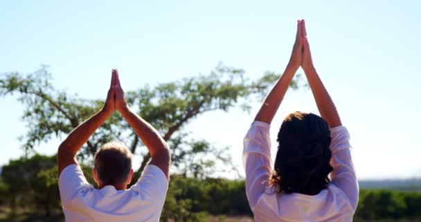 Par som gör yoga — Stockvideo