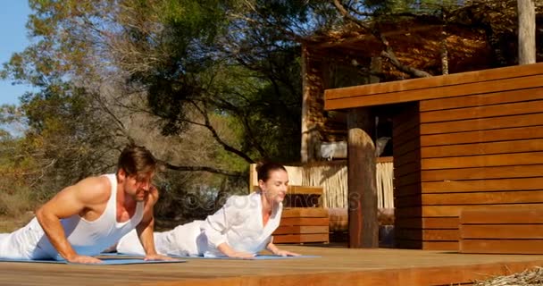 Pareja realizando yoga — Vídeo de stock