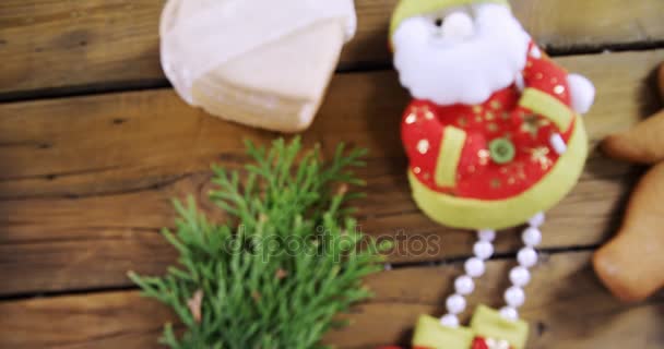 Santa Claus con galletas de jengibre — Vídeos de Stock