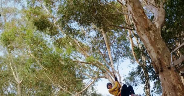 Mulher ziplining na floresta — Vídeo de Stock