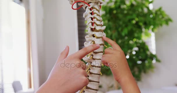 Fisioterapeuta explicando paciente modelo de columna vertebral — Vídeos de Stock