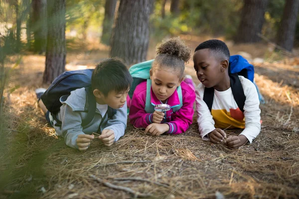 Kinderen kijken via Vergrootglas — Stockfoto