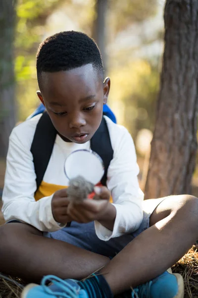 Boy examining pine cone in forest — Stock Photo, Image