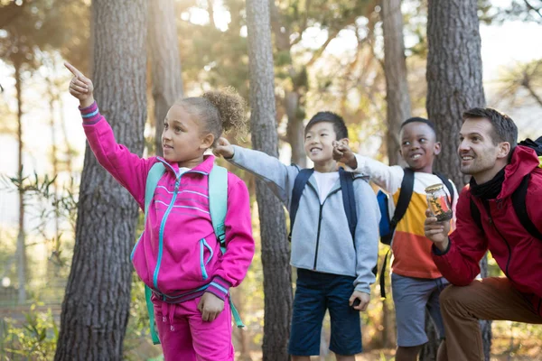 Crianças apontando à distância na floresta — Fotografia de Stock