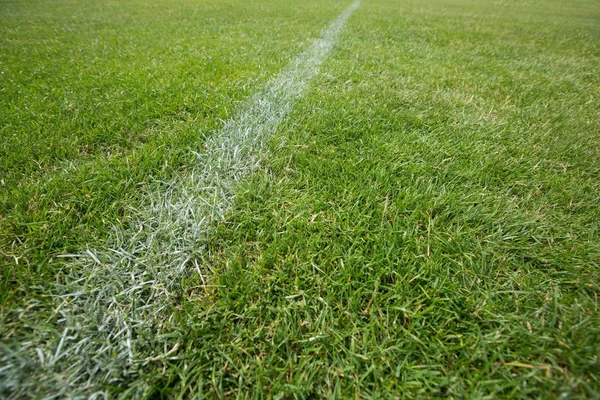 Marca blanca sobre hierba verde — Foto de Stock