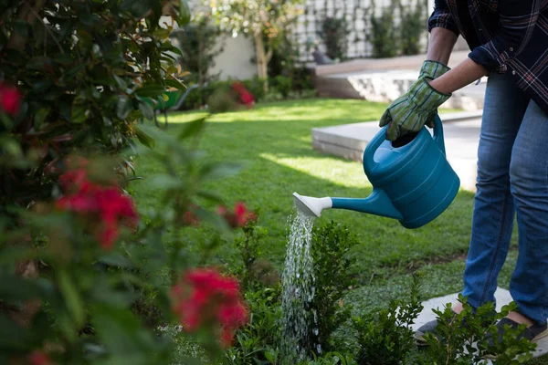 Žena zalévání rostlin v zahradě — Stock fotografie