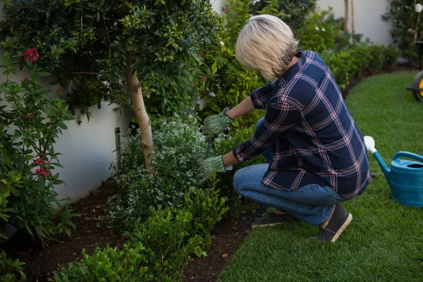 Vrouw snoeien planten in de tuin — Stockfoto