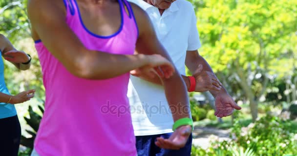 Grupo Personas Haciendo Ejercicio Parque Día Soleado — Vídeos de Stock