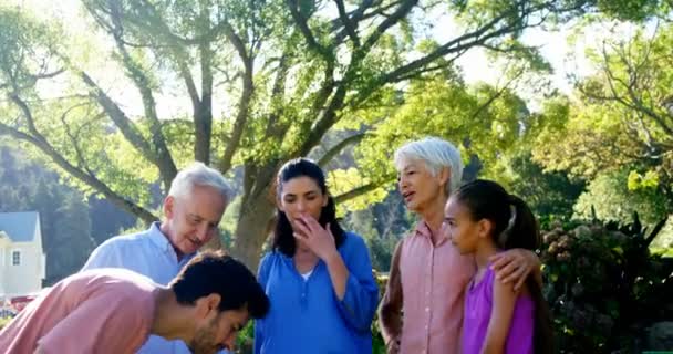 Famille Heureuse Debout Ensemble Dans Parc Par Une Journée Ensoleillée — Video