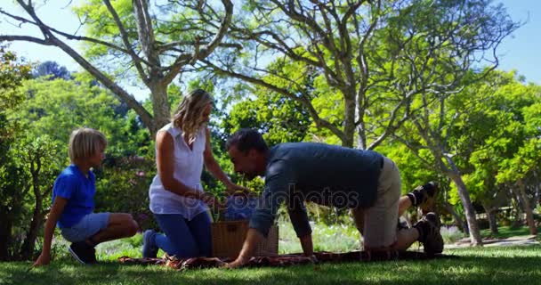 Vater Und Sohn Breiten Picknickdecke Aus Während Mutter Korb Park — Stockvideo